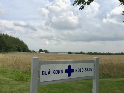 Rold Skov logofoto